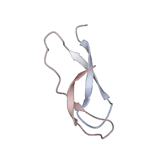 21624_6wd5_C_v1-3
Cryo-EM of elongating ribosome with EF-Tu*GTP elucidates tRNA proofreading (Cognate Structure II-C1)