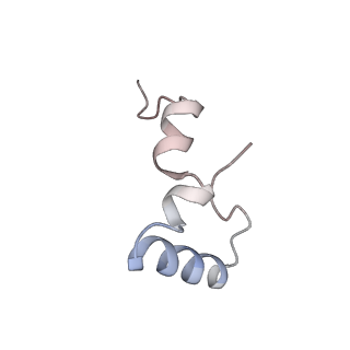 21624_6wd5_D_v1-2
Cryo-EM of elongating ribosome with EF-Tu*GTP elucidates tRNA proofreading (Cognate Structure II-C1)