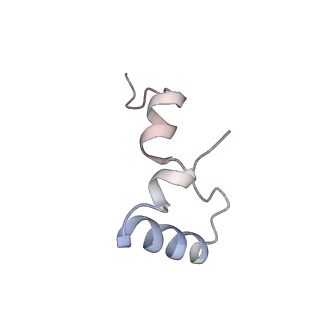 21624_6wd5_D_v1-3
Cryo-EM of elongating ribosome with EF-Tu*GTP elucidates tRNA proofreading (Cognate Structure II-C1)