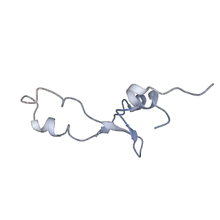 21624_6wd5_E_v1-2
Cryo-EM of elongating ribosome with EF-Tu*GTP elucidates tRNA proofreading (Cognate Structure II-C1)