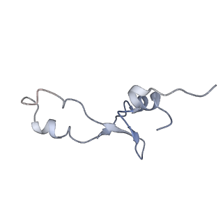 21624_6wd5_E_v1-3
Cryo-EM of elongating ribosome with EF-Tu*GTP elucidates tRNA proofreading (Cognate Structure II-C1)