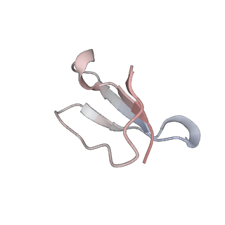 21624_6wd5_F_v1-3
Cryo-EM of elongating ribosome with EF-Tu*GTP elucidates tRNA proofreading (Cognate Structure II-C1)