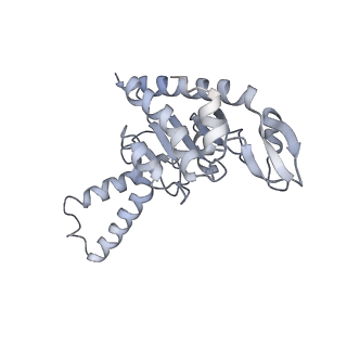 21624_6wd5_G_v1-2
Cryo-EM of elongating ribosome with EF-Tu*GTP elucidates tRNA proofreading (Cognate Structure II-C1)