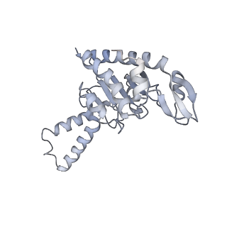 21624_6wd5_G_v1-3
Cryo-EM of elongating ribosome with EF-Tu*GTP elucidates tRNA proofreading (Cognate Structure II-C1)