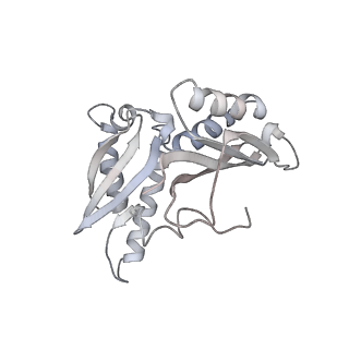 21624_6wd5_H_v1-2
Cryo-EM of elongating ribosome with EF-Tu*GTP elucidates tRNA proofreading (Cognate Structure II-C1)