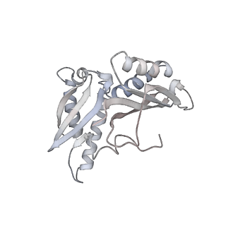 21624_6wd5_H_v1-3
Cryo-EM of elongating ribosome with EF-Tu*GTP elucidates tRNA proofreading (Cognate Structure II-C1)