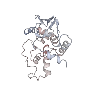 21624_6wd5_I_v1-2
Cryo-EM of elongating ribosome with EF-Tu*GTP elucidates tRNA proofreading (Cognate Structure II-C1)