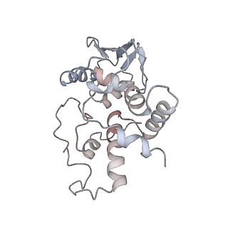 21624_6wd5_I_v1-3
Cryo-EM of elongating ribosome with EF-Tu*GTP elucidates tRNA proofreading (Cognate Structure II-C1)