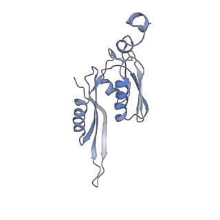 21624_6wd5_J_v1-2
Cryo-EM of elongating ribosome with EF-Tu*GTP elucidates tRNA proofreading (Cognate Structure II-C1)