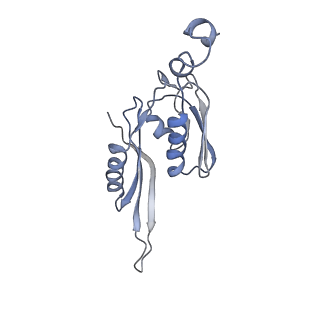 21624_6wd5_J_v1-3
Cryo-EM of elongating ribosome with EF-Tu*GTP elucidates tRNA proofreading (Cognate Structure II-C1)