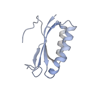 21624_6wd5_K_v1-2
Cryo-EM of elongating ribosome with EF-Tu*GTP elucidates tRNA proofreading (Cognate Structure II-C1)