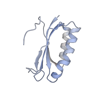 21624_6wd5_K_v1-3
Cryo-EM of elongating ribosome with EF-Tu*GTP elucidates tRNA proofreading (Cognate Structure II-C1)