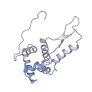21624_6wd5_L_v1-2
Cryo-EM of elongating ribosome with EF-Tu*GTP elucidates tRNA proofreading (Cognate Structure II-C1)