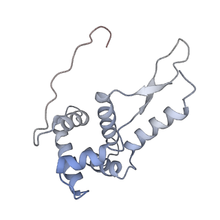 21624_6wd5_L_v1-3
Cryo-EM of elongating ribosome with EF-Tu*GTP elucidates tRNA proofreading (Cognate Structure II-C1)