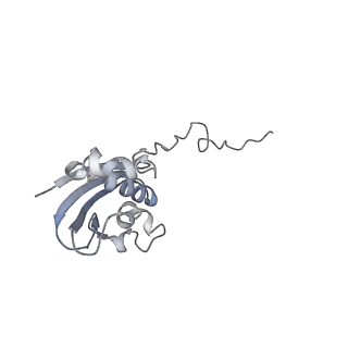 21624_6wd5_N_v1-2
Cryo-EM of elongating ribosome with EF-Tu*GTP elucidates tRNA proofreading (Cognate Structure II-C1)