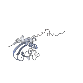 21624_6wd5_N_v1-3
Cryo-EM of elongating ribosome with EF-Tu*GTP elucidates tRNA proofreading (Cognate Structure II-C1)