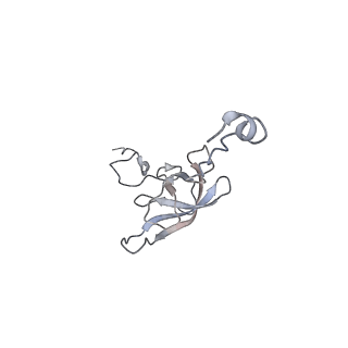 21624_6wd5_Q_v1-2
Cryo-EM of elongating ribosome with EF-Tu*GTP elucidates tRNA proofreading (Cognate Structure II-C1)