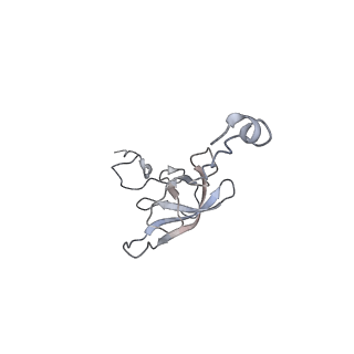 21624_6wd5_Q_v1-3
Cryo-EM of elongating ribosome with EF-Tu*GTP elucidates tRNA proofreading (Cognate Structure II-C1)