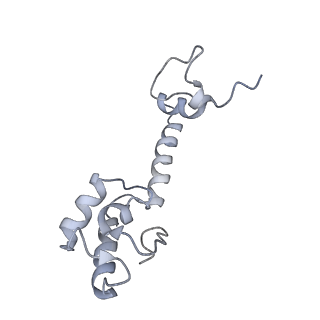21624_6wd5_R_v1-2
Cryo-EM of elongating ribosome with EF-Tu*GTP elucidates tRNA proofreading (Cognate Structure II-C1)