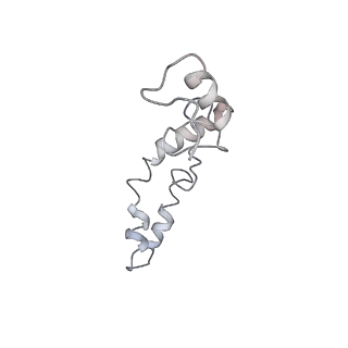21624_6wd5_S_v1-2
Cryo-EM of elongating ribosome with EF-Tu*GTP elucidates tRNA proofreading (Cognate Structure II-C1)