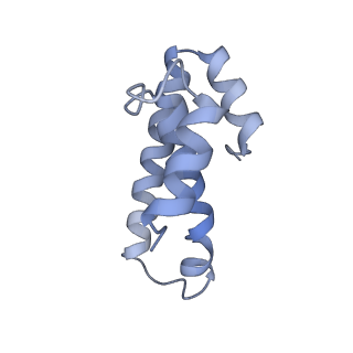 21624_6wd5_T_v1-2
Cryo-EM of elongating ribosome with EF-Tu*GTP elucidates tRNA proofreading (Cognate Structure II-C1)