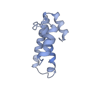 21624_6wd5_T_v1-3
Cryo-EM of elongating ribosome with EF-Tu*GTP elucidates tRNA proofreading (Cognate Structure II-C1)