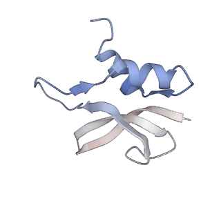 21624_6wd5_U_v1-2
Cryo-EM of elongating ribosome with EF-Tu*GTP elucidates tRNA proofreading (Cognate Structure II-C1)