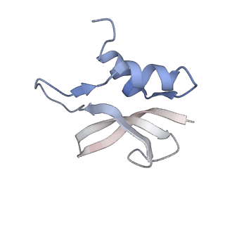 21624_6wd5_U_v1-3
Cryo-EM of elongating ribosome with EF-Tu*GTP elucidates tRNA proofreading (Cognate Structure II-C1)