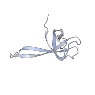 21624_6wd5_V_v1-2
Cryo-EM of elongating ribosome with EF-Tu*GTP elucidates tRNA proofreading (Cognate Structure II-C1)