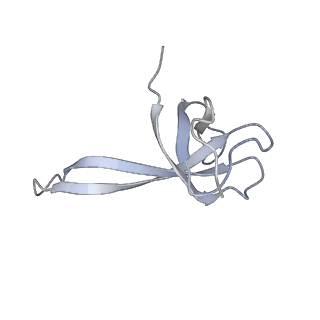 21624_6wd5_V_v1-3
Cryo-EM of elongating ribosome with EF-Tu*GTP elucidates tRNA proofreading (Cognate Structure II-C1)