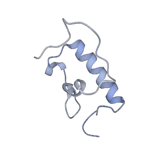21624_6wd5_W_v1-2
Cryo-EM of elongating ribosome with EF-Tu*GTP elucidates tRNA proofreading (Cognate Structure II-C1)
