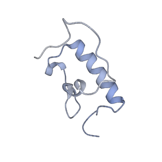 21624_6wd5_W_v1-3
Cryo-EM of elongating ribosome with EF-Tu*GTP elucidates tRNA proofreading (Cognate Structure II-C1)