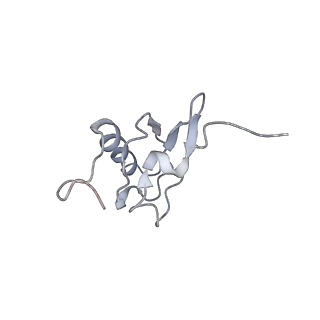 21624_6wd5_X_v1-2
Cryo-EM of elongating ribosome with EF-Tu*GTP elucidates tRNA proofreading (Cognate Structure II-C1)