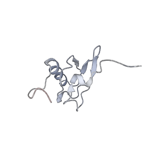 21624_6wd5_X_v1-3
Cryo-EM of elongating ribosome with EF-Tu*GTP elucidates tRNA proofreading (Cognate Structure II-C1)