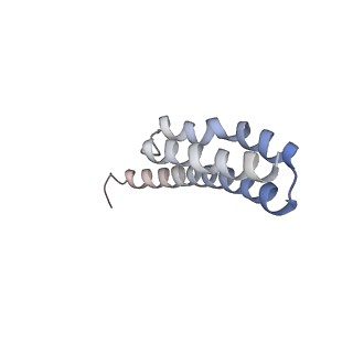21624_6wd5_Y_v1-2
Cryo-EM of elongating ribosome with EF-Tu*GTP elucidates tRNA proofreading (Cognate Structure II-C1)