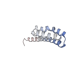 21624_6wd5_Y_v1-3
Cryo-EM of elongating ribosome with EF-Tu*GTP elucidates tRNA proofreading (Cognate Structure II-C1)