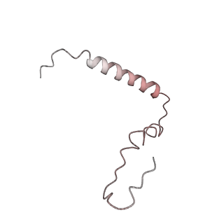 21624_6wd5_Z_v1-2
Cryo-EM of elongating ribosome with EF-Tu*GTP elucidates tRNA proofreading (Cognate Structure II-C1)