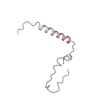 21624_6wd5_Z_v1-3
Cryo-EM of elongating ribosome with EF-Tu*GTP elucidates tRNA proofreading (Cognate Structure II-C1)