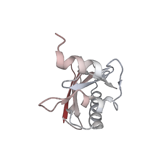 21624_6wd5_a_v1-2
Cryo-EM of elongating ribosome with EF-Tu*GTP elucidates tRNA proofreading (Cognate Structure II-C1)