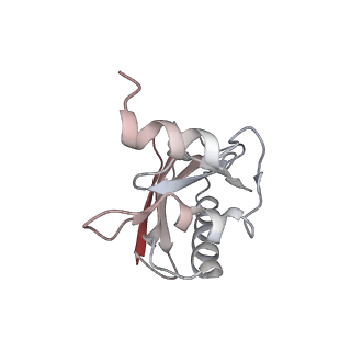 21624_6wd5_a_v1-3
Cryo-EM of elongating ribosome with EF-Tu*GTP elucidates tRNA proofreading (Cognate Structure II-C1)