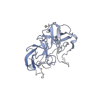 21624_6wd5_b_v1-2
Cryo-EM of elongating ribosome with EF-Tu*GTP elucidates tRNA proofreading (Cognate Structure II-C1)