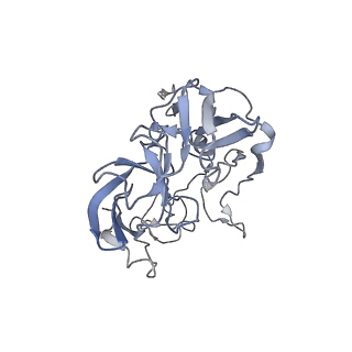 21624_6wd5_b_v1-3
Cryo-EM of elongating ribosome with EF-Tu*GTP elucidates tRNA proofreading (Cognate Structure II-C1)