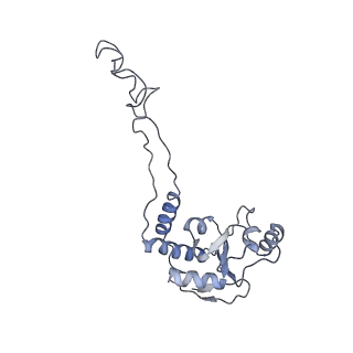21624_6wd5_d_v1-2
Cryo-EM of elongating ribosome with EF-Tu*GTP elucidates tRNA proofreading (Cognate Structure II-C1)