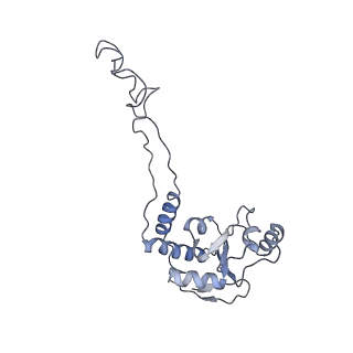 21624_6wd5_d_v1-3
Cryo-EM of elongating ribosome with EF-Tu*GTP elucidates tRNA proofreading (Cognate Structure II-C1)