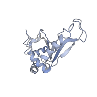 21624_6wd5_e_v1-2
Cryo-EM of elongating ribosome with EF-Tu*GTP elucidates tRNA proofreading (Cognate Structure II-C1)