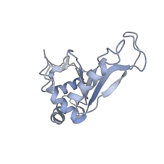 21624_6wd5_e_v1-3
Cryo-EM of elongating ribosome with EF-Tu*GTP elucidates tRNA proofreading (Cognate Structure II-C1)