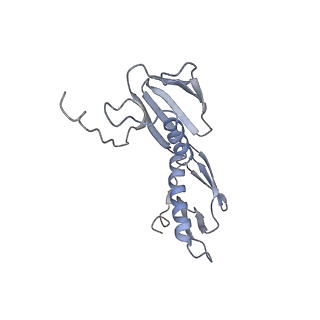 21624_6wd5_f_v1-2
Cryo-EM of elongating ribosome with EF-Tu*GTP elucidates tRNA proofreading (Cognate Structure II-C1)