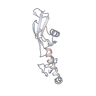 21624_6wd5_g_v1-2
Cryo-EM of elongating ribosome with EF-Tu*GTP elucidates tRNA proofreading (Cognate Structure II-C1)
