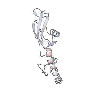 21624_6wd5_g_v1-3
Cryo-EM of elongating ribosome with EF-Tu*GTP elucidates tRNA proofreading (Cognate Structure II-C1)