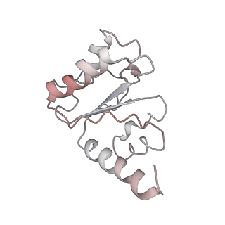 21624_6wd5_h_v1-2
Cryo-EM of elongating ribosome with EF-Tu*GTP elucidates tRNA proofreading (Cognate Structure II-C1)